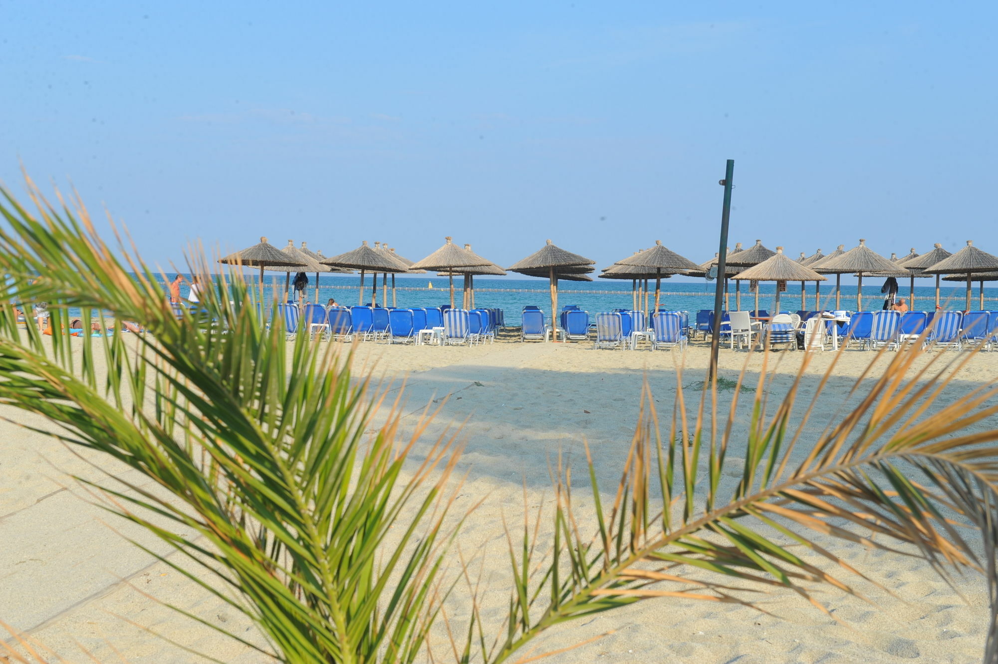 Hotel Platon Beach Olympiakí Aktí Eksteriør bilde